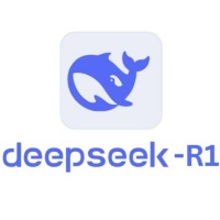 DeepSeek R1 Q1F